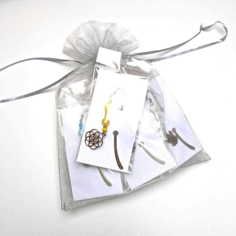 LZ_12er_silber_GVP_Loch 12er Set Lesezeichen silberfarben in Geschenkverpackung mit Loch auf Organzabeutel