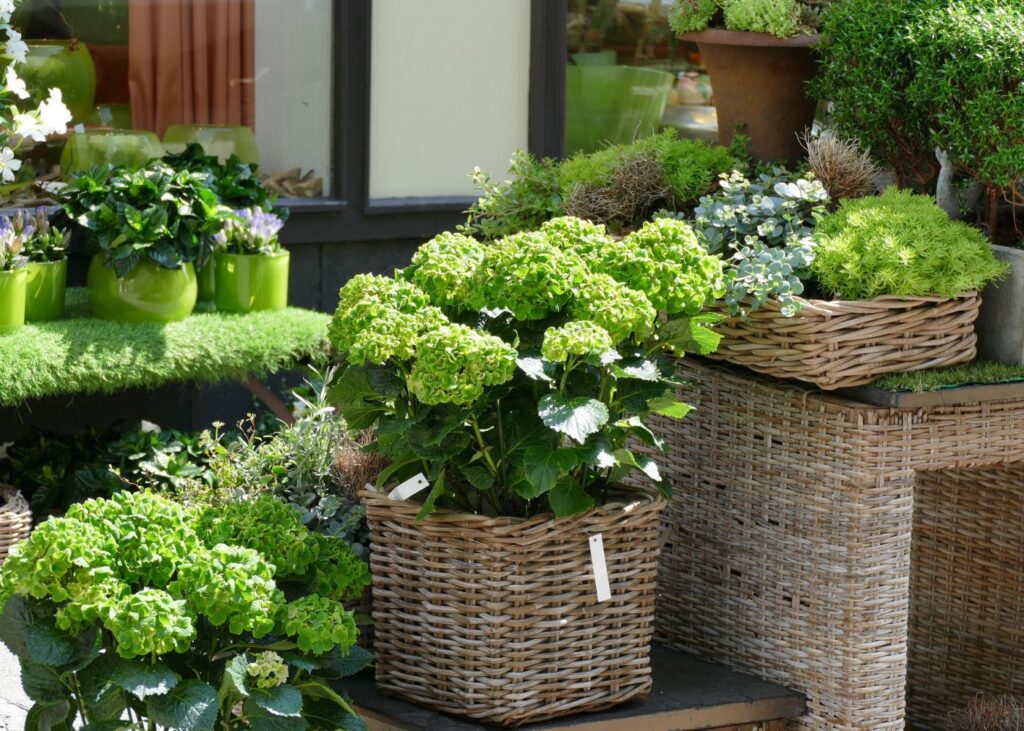 Weg zu den Händlern Weg zu den Händlern